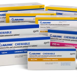 Augmentin (Clavamox®️)